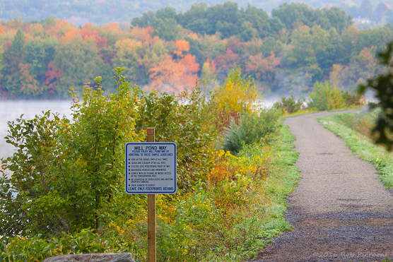 Mill Pond Way Trail